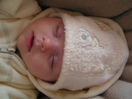 PICT0028.JPG