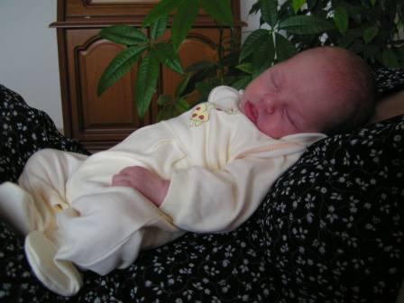 PICT0044.JPG