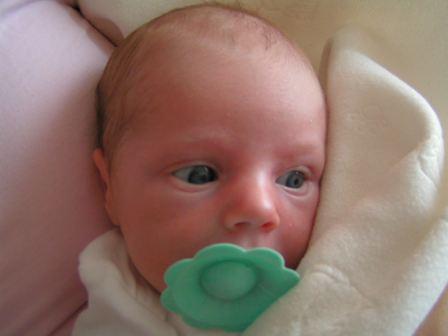 Pict0075.jpg