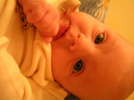 PICT0022.JPG