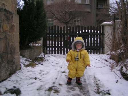 PICT0003.JPG
