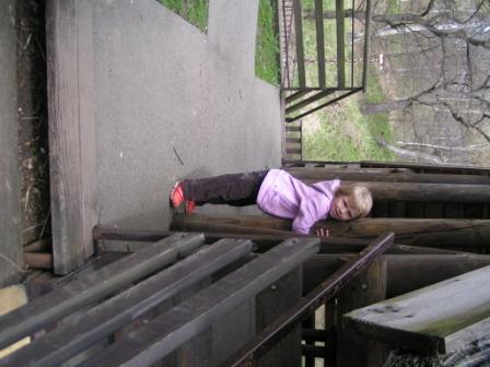 PICT0335.JPG