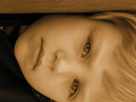 PICT0221.JPG