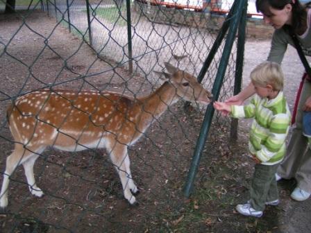 PICT0858.JPG